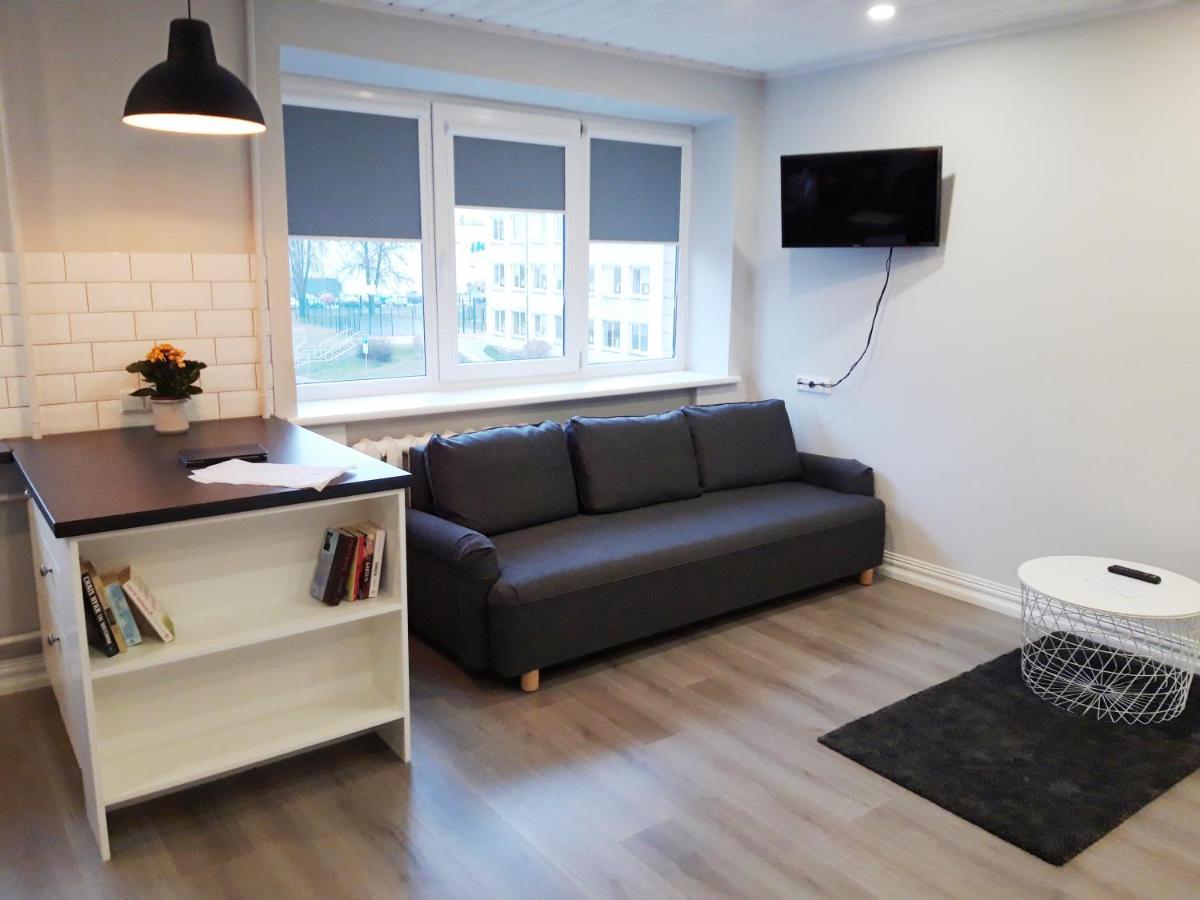 Alytus Ziburio Studio מראה חיצוני תמונה